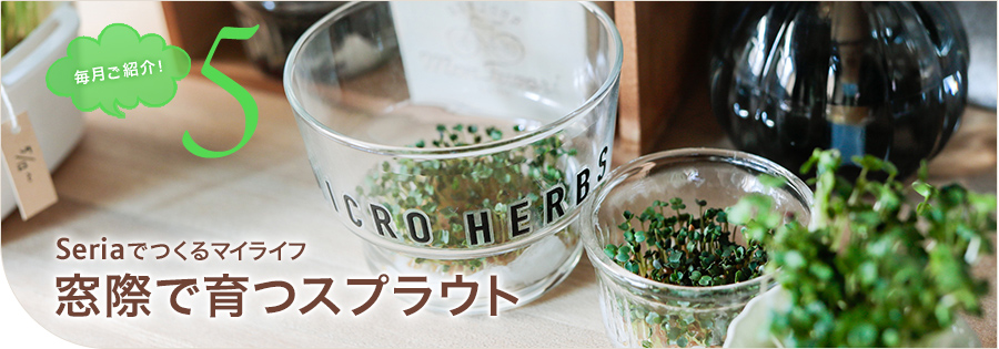 100円ショップのseria セリア 100円ショップのseria セリア