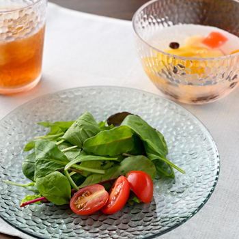 plastic-dish_top_350.jpg