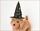 イメージ:ハロウィンペットコスチューム 魔女ハット